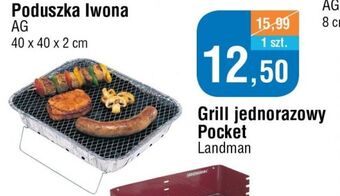 E.Leclerc Grill jednorazowy landmann oferta