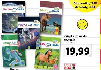 Lidl Nauka czytania - ziemia oferta