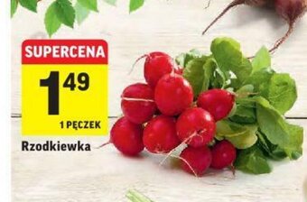Intermarche Rzodkiewka pęczek oferta