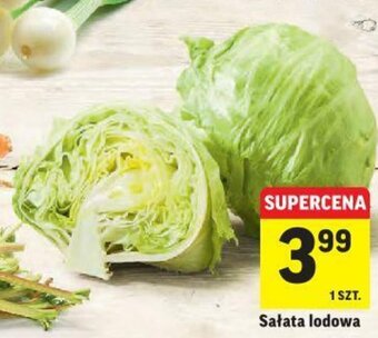 Intermarche Sałata lodowa 1szt. oferta