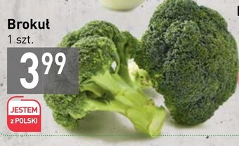 Stokrotka Market Brokuł oferta
