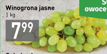 Stokrotka Winogrona oferta