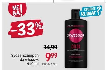 Rossmann Szampon do włosów farbowanych tsubaki blossom syoss color oferta
