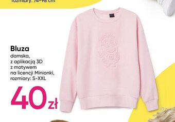 Pepco Bluza damska oferta