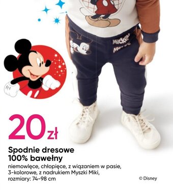 Spodnie dresowe 100% bawełny