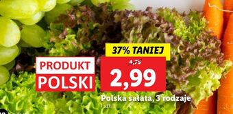 Sałata