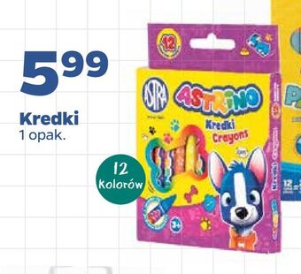 Netto Kredki oferta