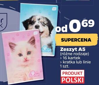 Netto Zeszyt a5 oferta