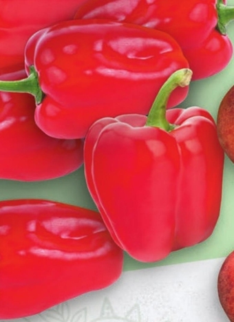 Twój Market Papryka oferta