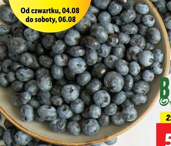 Lidl Borówki oferta
