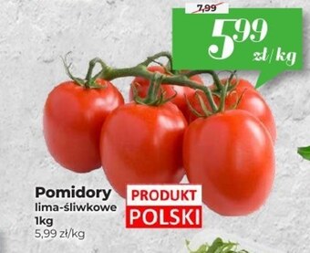 Społem Pomidory oferta