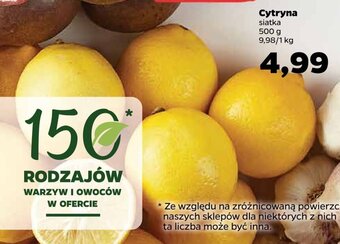 Netto Cytryna 500 g oferta