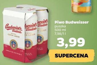 Netto Piwo b: original budweiser budvar oferta