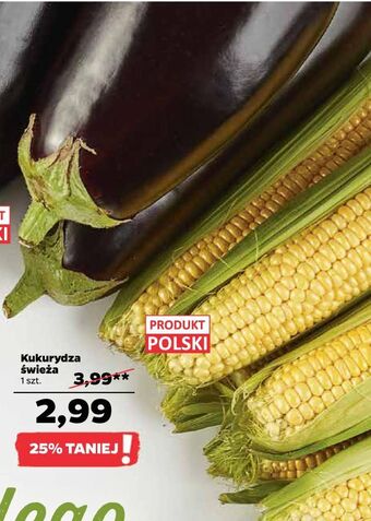 Netto Kukurydza oferta