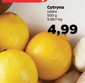 Netto Cytryny oferta