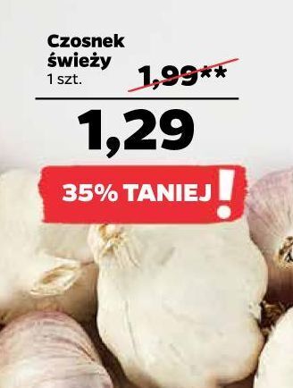 Netto Czosnek oferta