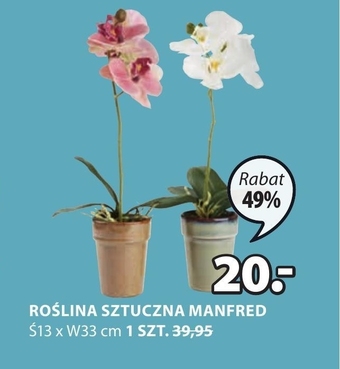 JYSK Sztuczna roślina oferta