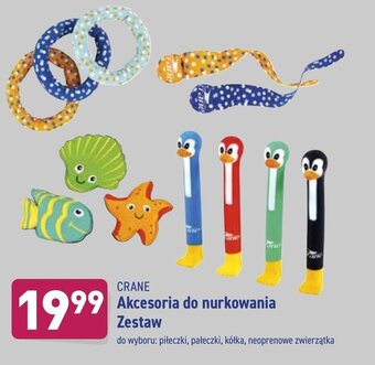 ALDI Akcesoria do nurkowania oferta