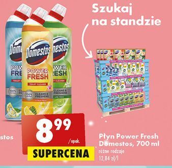 Biedronka Żel do wc lime fresh domestos power fresh (wcześniej total hygiene) oferta