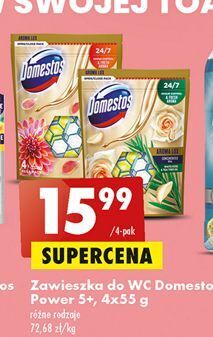 Biedronka Kostka do wc white rose & tea tree oil domestos aroma lux oferta