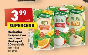 Biedronka Melisa z pigwą herbapol oferta