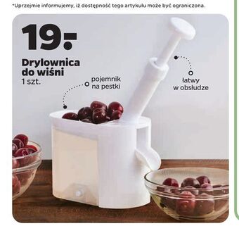 Netto Drylownica do wiśni oferta