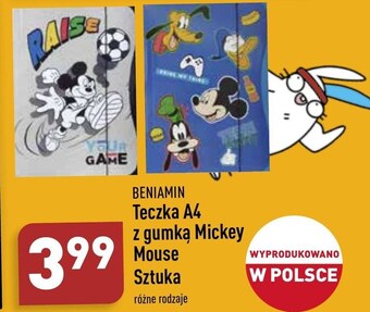 ALDI Teczka beniamin oferta