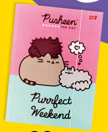 Biedronka Teczka pusheen oferta