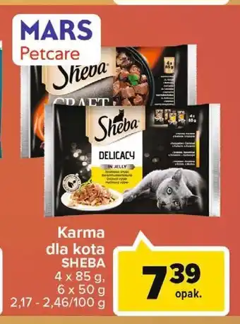 Żabka Karma dla kota soczyste smaki 1 OPAK 4 SZT 85 G oferta