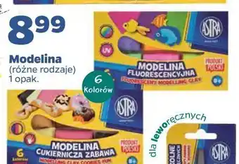 Netto Modelina cukiernicza astra oferta