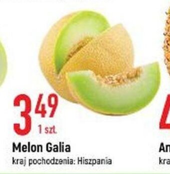 E.Leclerc Melon Galia 1szt. oferta