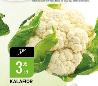 bi1 Kalafior 1szt. oferta