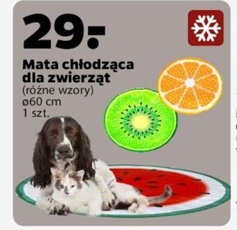 Netto Mata chłodząca dla zwierząt oferta
