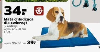 Netto Mata chłodząca dla zwierząt oferta