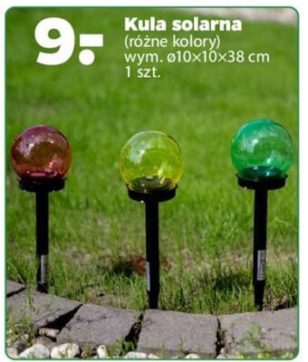 Netto Kula solarna oferta