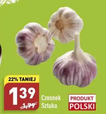 ALDI Czosnek 1 szt. oferta