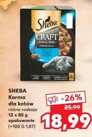 Kaufland Karma dla kota smaki rybne w sosie sheba craft collection oferta