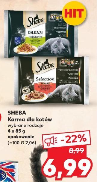 Kaufland Karma dla kota z wołowiną w sosie sheba selection oferta