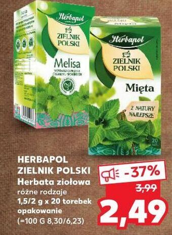 Kaufland Herbatka mięta herbapol zielnik polski oferta