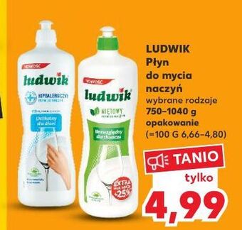 Kaufland Płyn do naczyń miętowy ludwik oferta