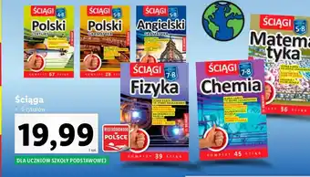 Lidl Ściągi 5-8 polski- gramatyka oferta