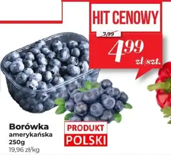 Społem Borówka amerykańska 250 g oferta