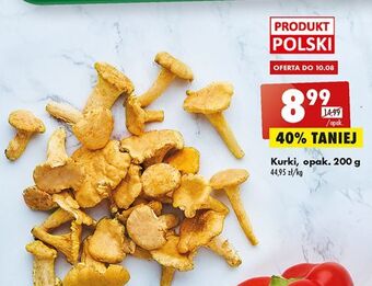 Biedronka Kurki oferta