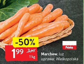 Intermarche Marchew 1 kg oferta