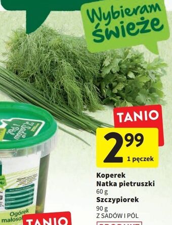 Intermarche Natka pietruszki oferta