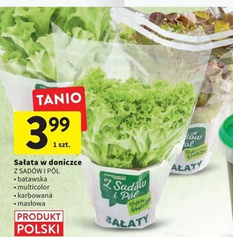 Intermarche Sałata karbowana zielona z sadów i pól oferta
