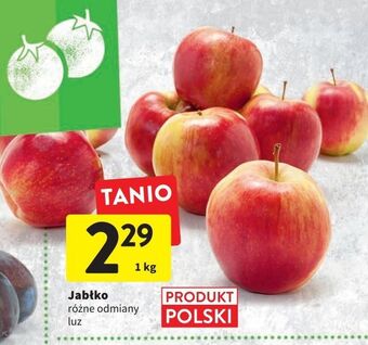 Intermarche Jabłka oferta