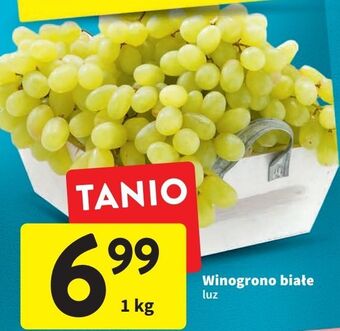 Intermarche Winogrona białe oferta