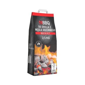 ALDI Brykiet do grilla oferta