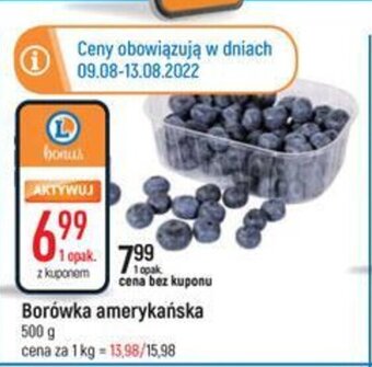 E.Leclerc Borówka amerykańska 500 g oferta